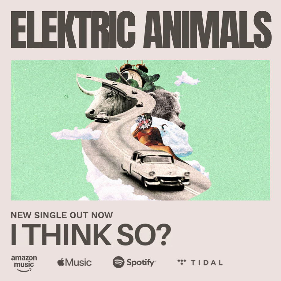 I THINK SO? by Elektric Animals | new single out now on all streaming platforms