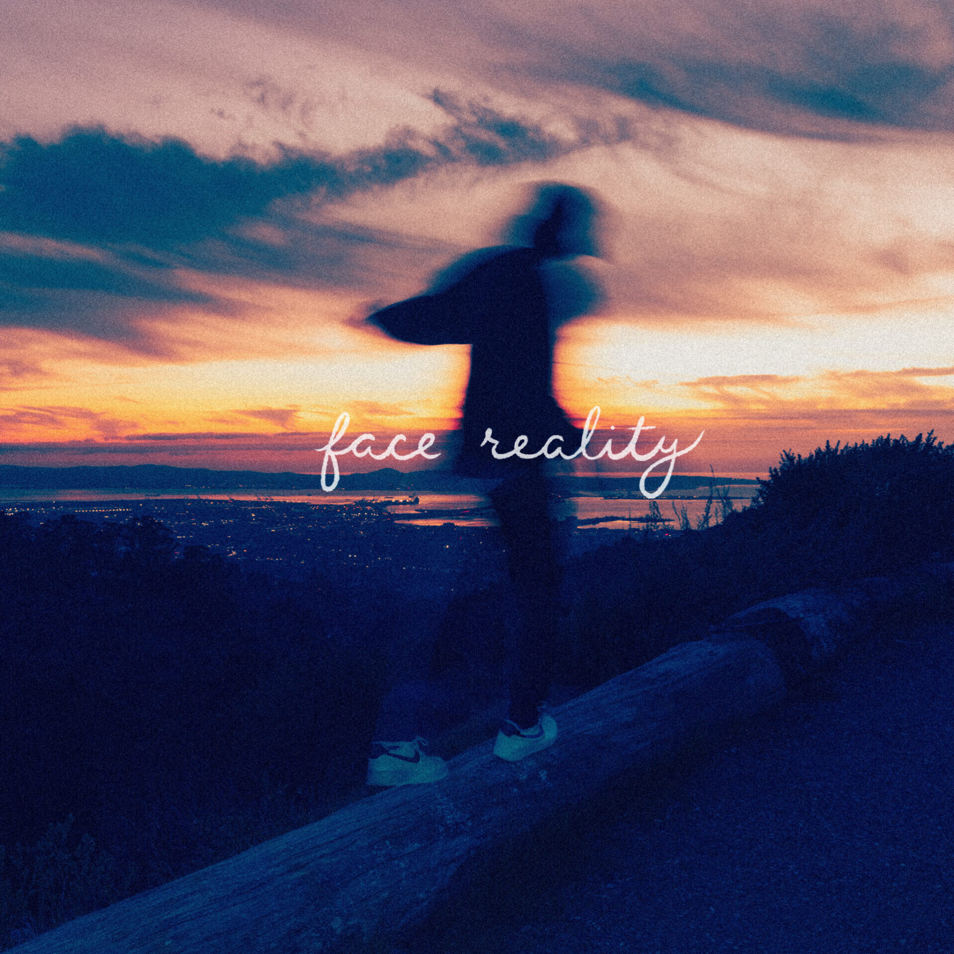FaceReality Final
