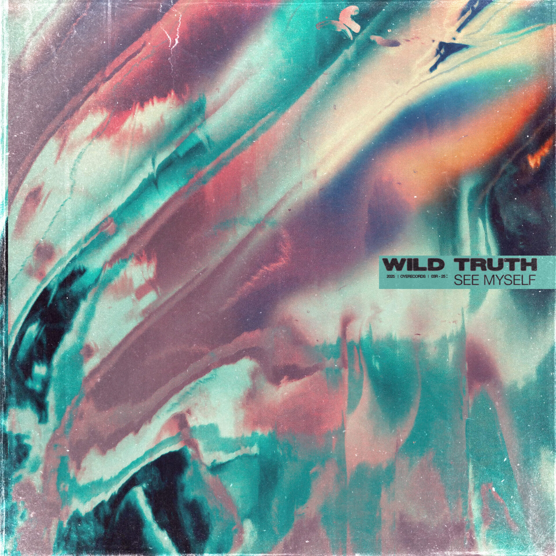 wild truth see myself online cover