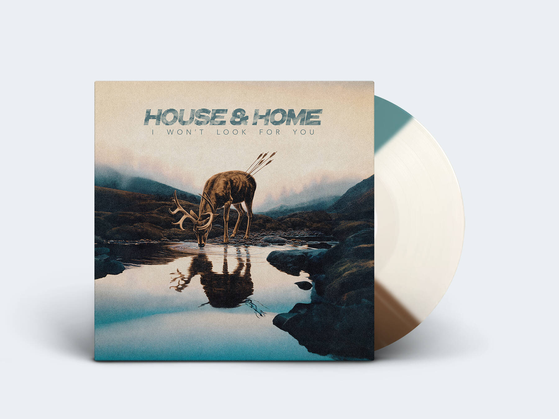 HouseHome vinyl1