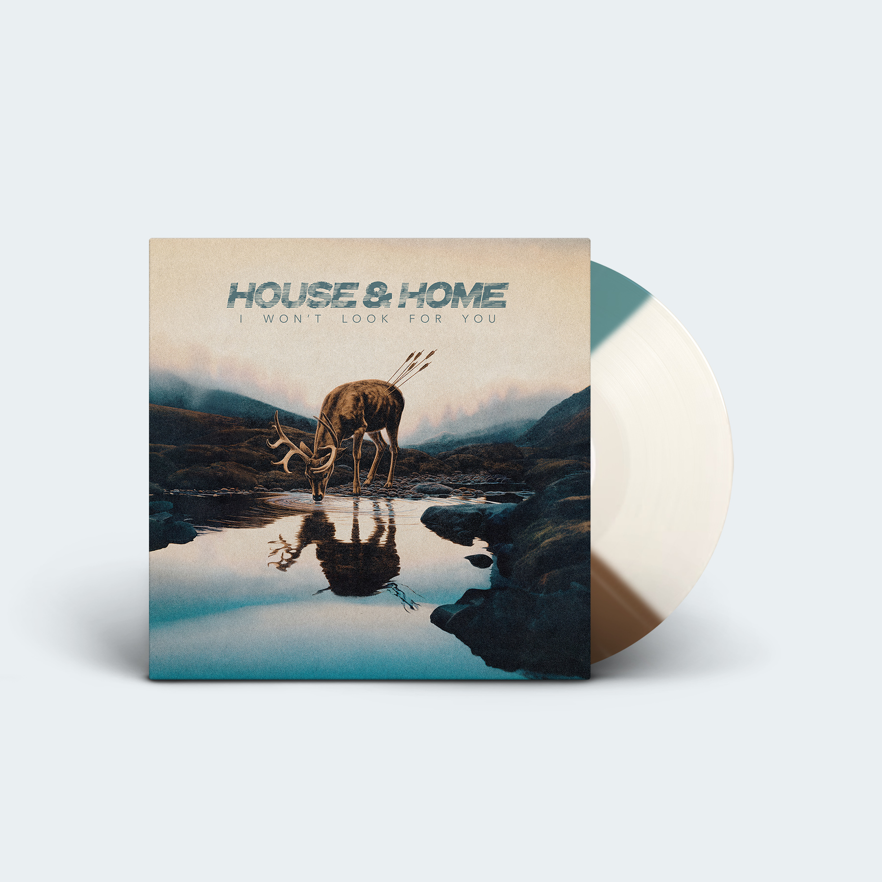 HouseHome vinyl1