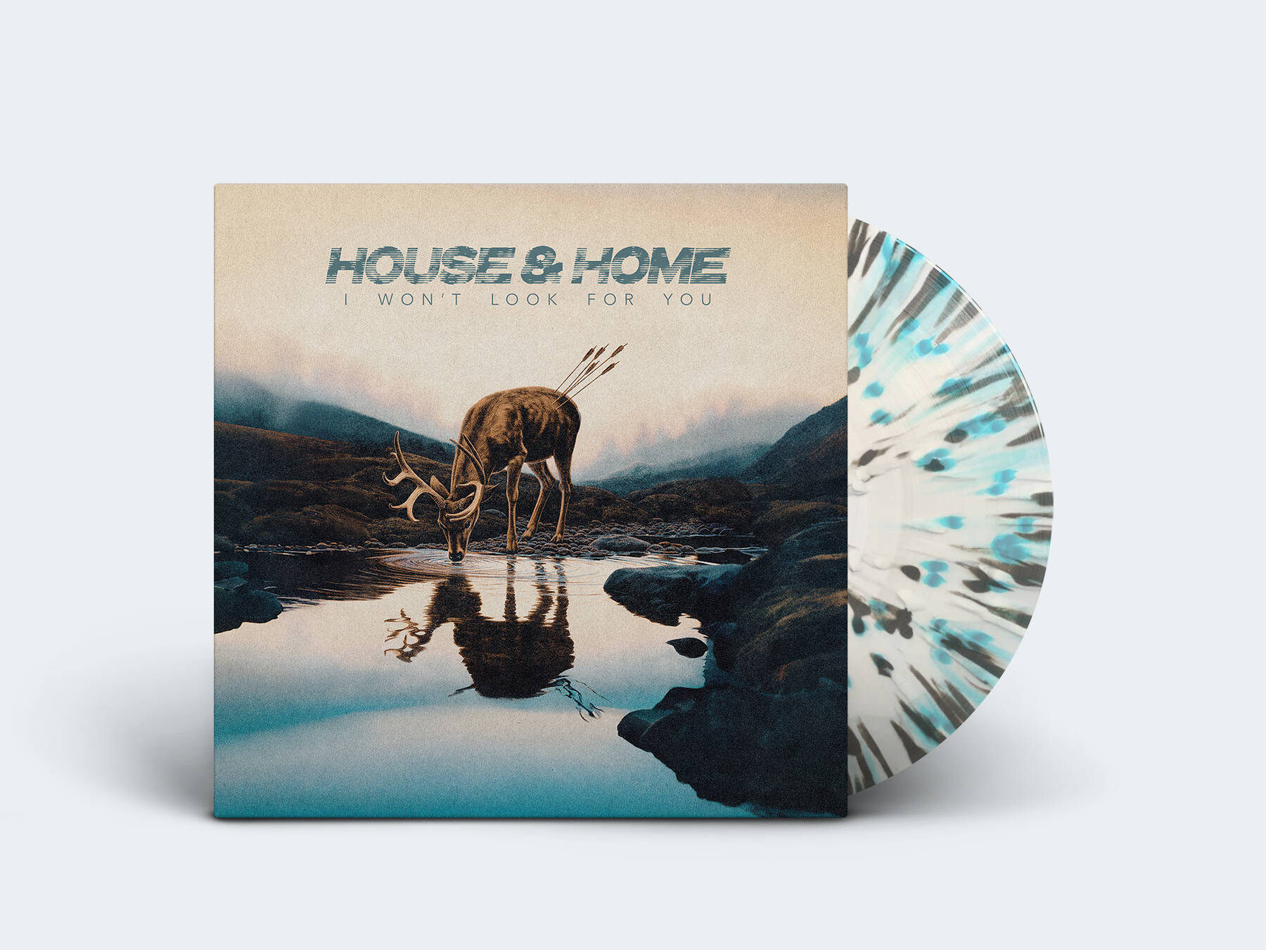 HouseHome vinyl2