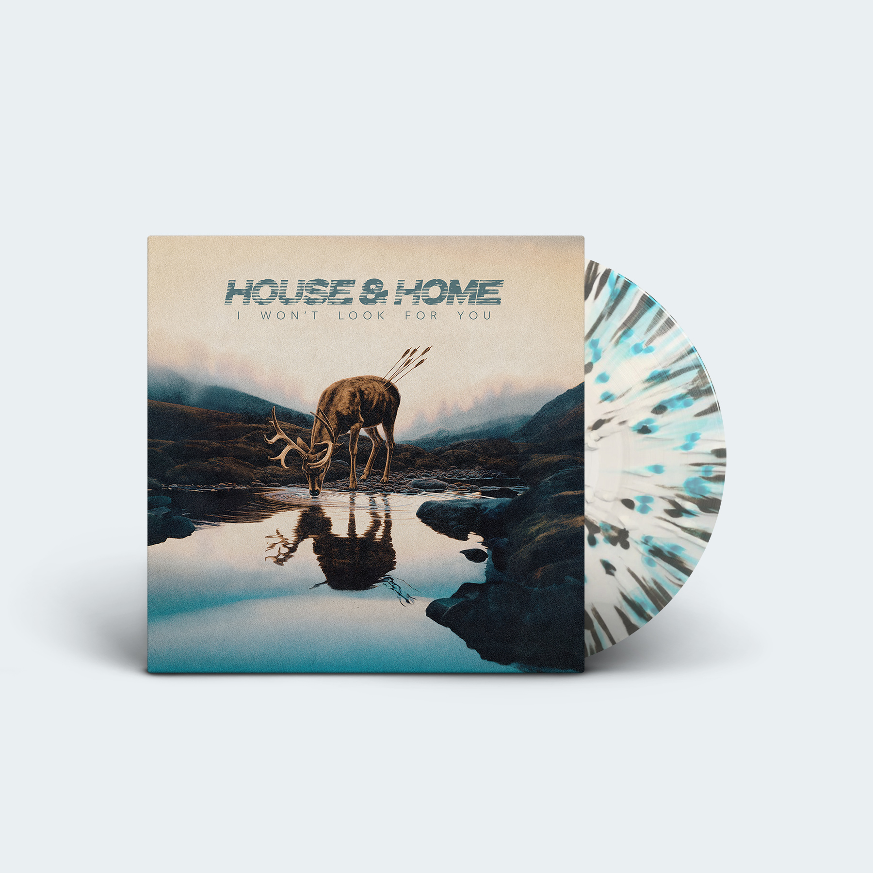 HouseHome vinyl2
